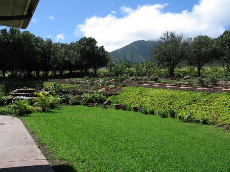 Organic Gardens in Wailuku Maui, Hawaii